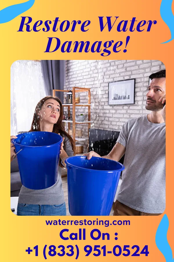 water restoration Prime Property Restoration Inc North East