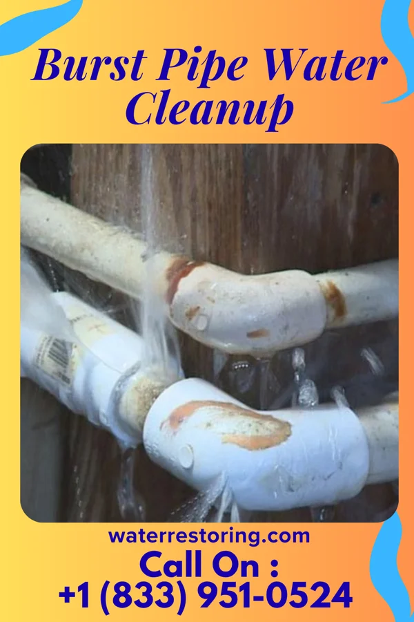 Burst Pipe Water Cleanup in North East, MD