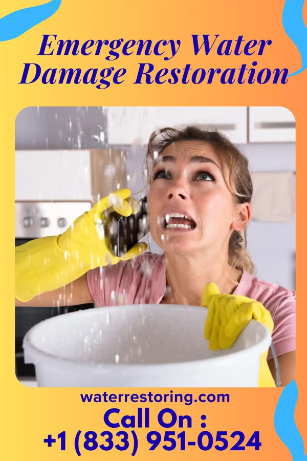 Emergency Water Damage Restoration in North East, MD