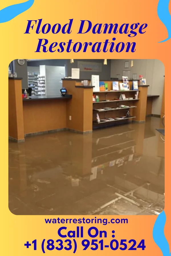 Flood Damage Restoration in North East, MD