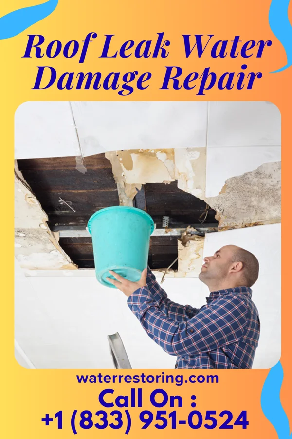 Roof Leak Water Damage Repair in North East, MD