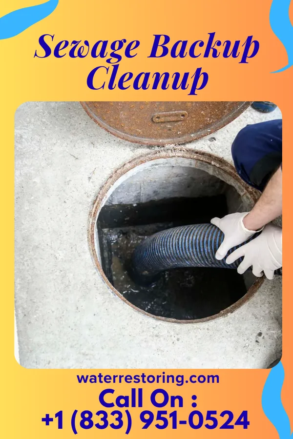 Sewage Backup Cleanup in North East, MD