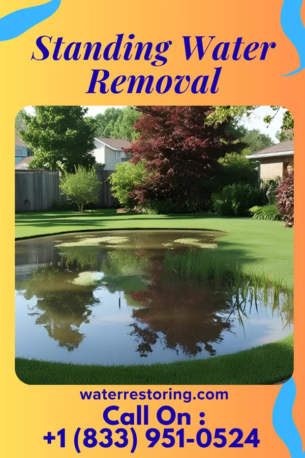 Standing Water Removal in North East, MD
